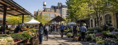 A neighborhood morning market in Minneapolis